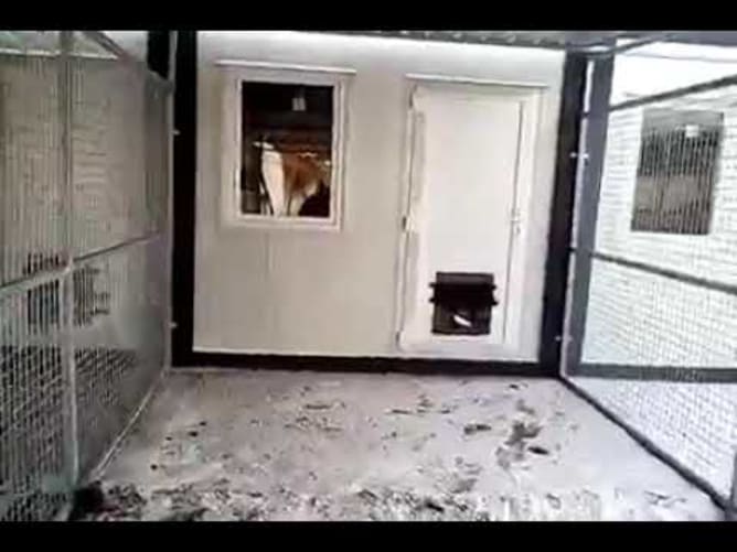 Neubau Tierheim Bonyhad Januar 2021