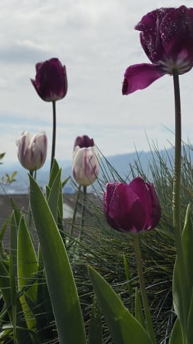 In Verbindung mit der Natur!