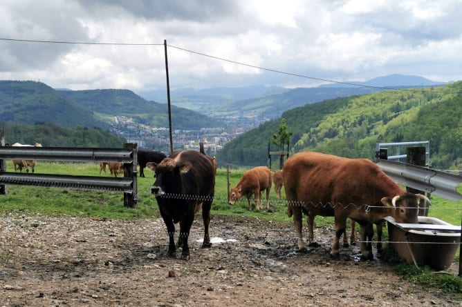 Altersresidenz mit Ausblick auf Liestal