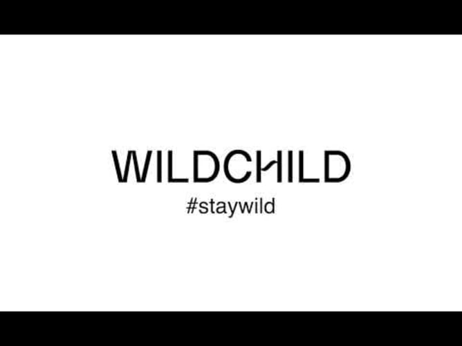 WILDCHILD Training visualization