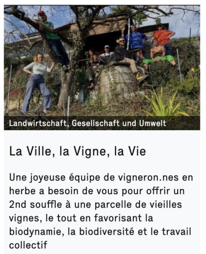 https://wemakeit.com/projects/la-ville-la-vigne-la-vie