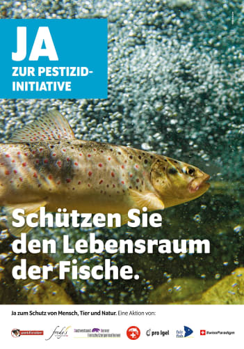 Plakat Ergänzungskampagne Innerschweiz