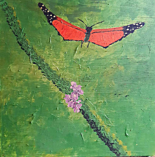 Schmetterling und lila Blüten 40 x 40  Reward