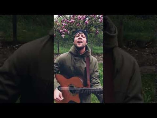 MundARTprojekt -Magnolia