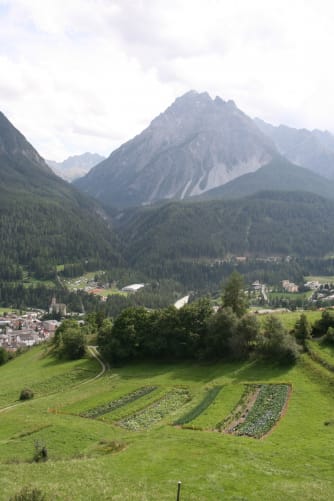 Gemüseäcker über Scuol