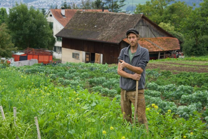 Severin in seinem Gemüsefeld