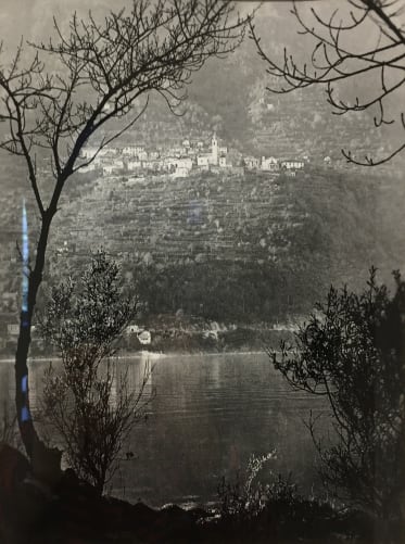 Blick von der Insel Brissago nach Ronco.