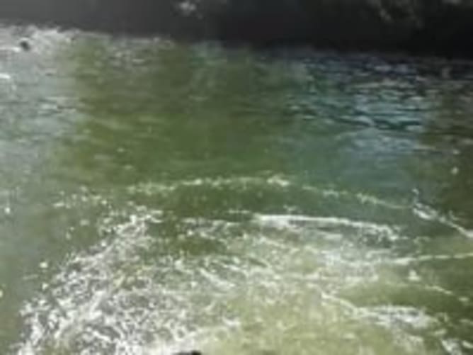 VID_20170626_173151 (1)