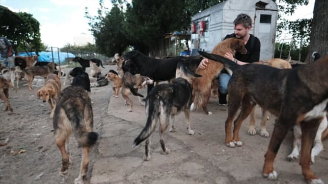 Cody - the dog days are over Filmstills
