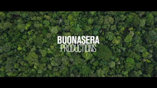 LES CHANTS DE LA FORÊT_TEASER 02