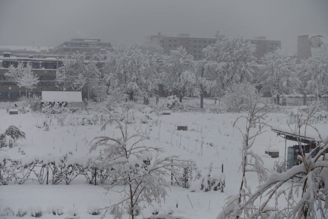 Winter-Märchenlandschaft