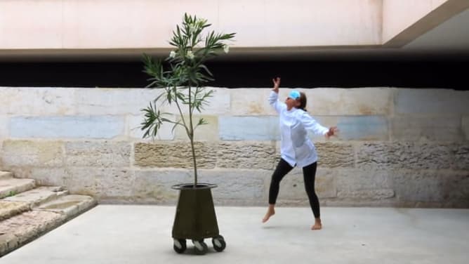 GEWINNER 3º PREIS BIONIC DANCE FESTIVAL MADRID - 2020 