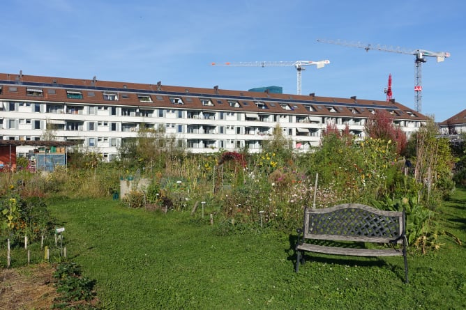 Der Quartiergarten Hard, eine grüne Oase mitten in der Stadt Zürich.