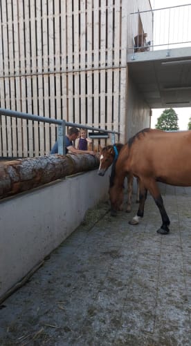 Dóra und ich beim Tietrklinik