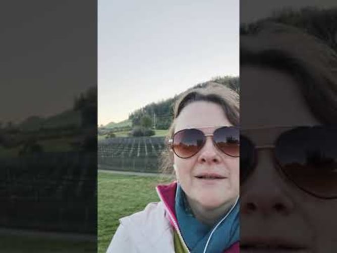 Début de la deuxième semaine de campagne