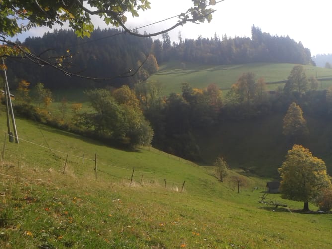 In der Bildmitte unser Wald, den es zu nutzen gilt