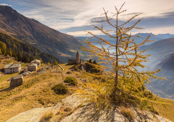 Herbststimmung mit goldigen Lärchen