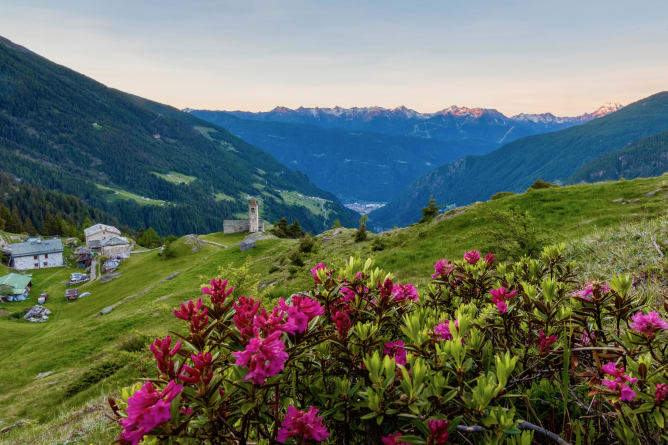 Alpe San Romerio ein kleines Stück Paradies