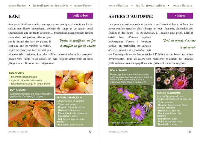 présentation des plantes