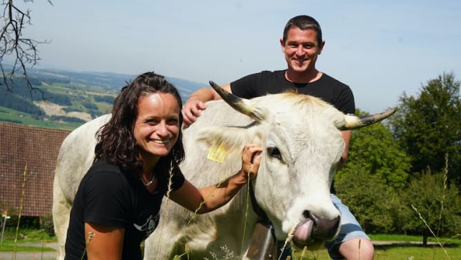 ...oder die Hofführung auf der Obermettlen gibt es unlimitiert / ...ou la visite de la ferme à Obermettlen sont illimitées.