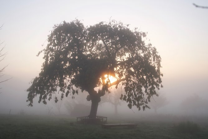 Morgenstimmung auf dem Weltacker