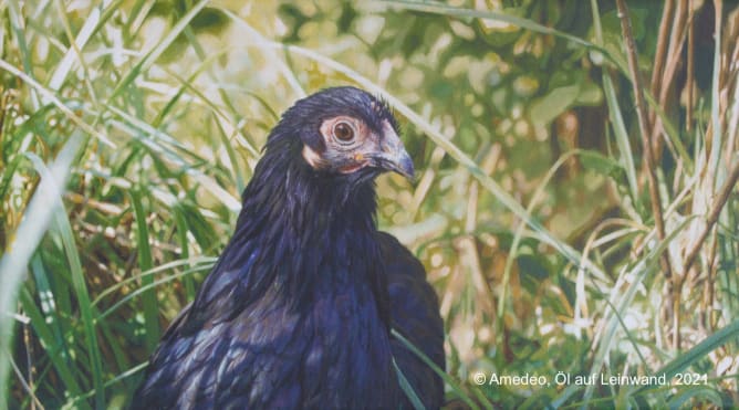Hardhuhn Niedda, gemalt von Amedeo