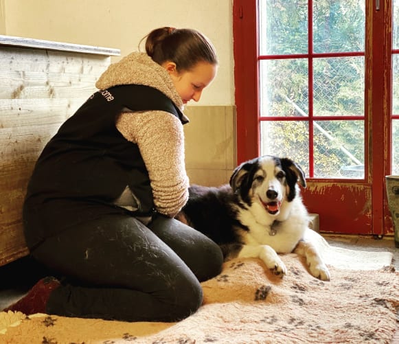 Eine Massage tut dem älteren Hund sehr gut!