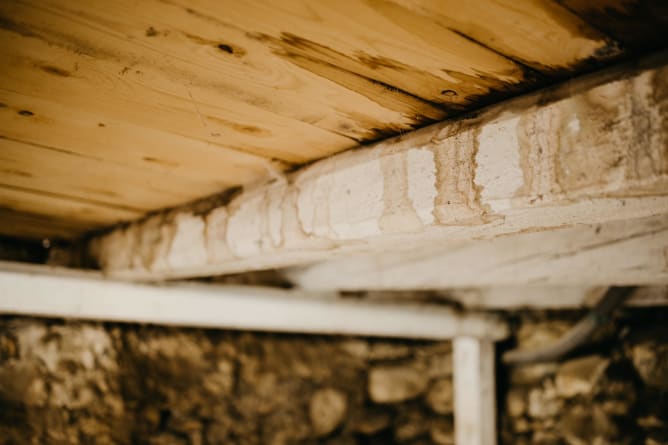 Exemple de poutre imprégnée d’humidité et d’urine