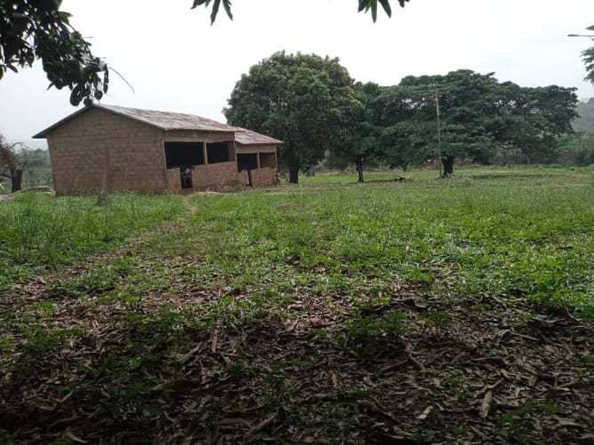 The school from the outside