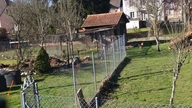 le poulailler qui sera transformé