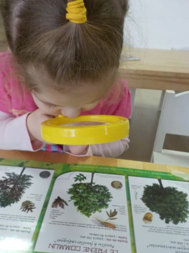 Apprendre dès le plus jeune âge les secrets de la nature.