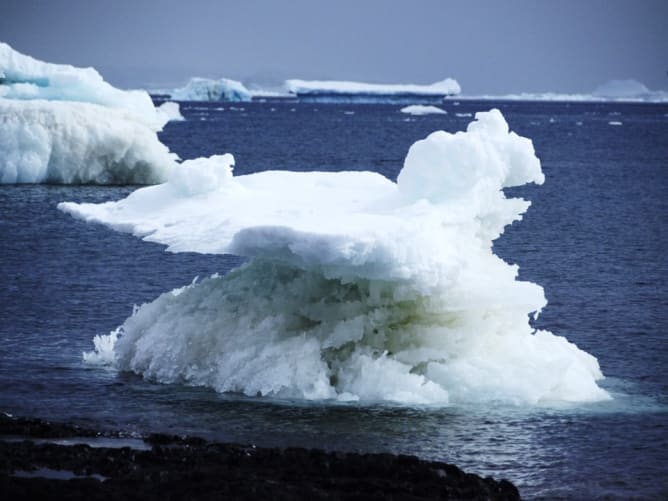 Sur les rives de la péninsule Antarctique, un petit iceberg prend la forme d’un oiseau 