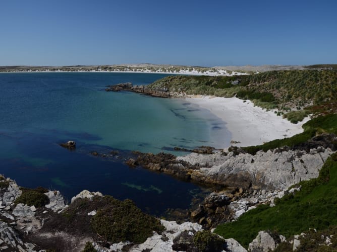 Les Caraïbes? Non! Une plage de sable blanc aux Îles Malouines, dans l’Atlantique Sud