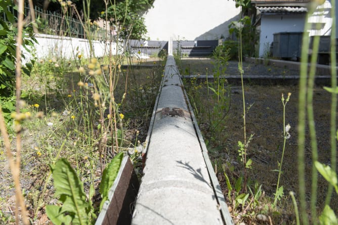 the petanque courts will be refurbished