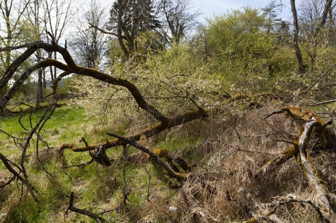 Habitat für Kleintiere