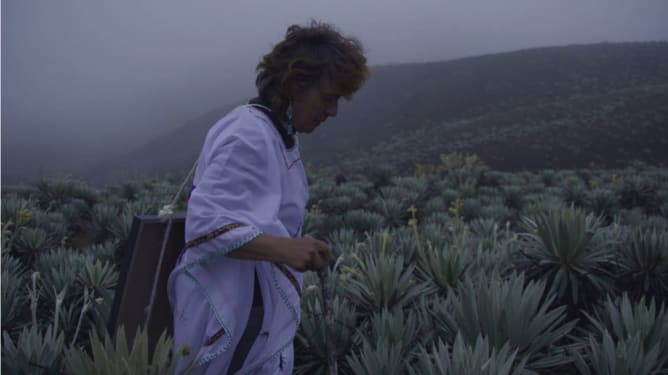 Doris à San Juan de Sumapaz