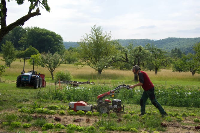 Bodenbearbeitung immer noch mit der kleinen Maschine, der Traktor wird erst zum Kompost fahren gebraucht.