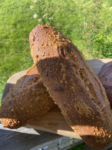 Wasabi Brot - hatte nur einen kurzen Auftritt