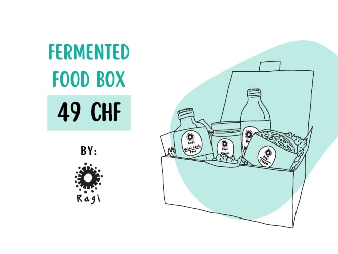 Fermented products by Ragi Food