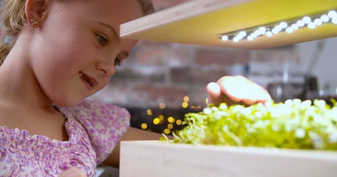 📍 De votre potager à l'assiette : consommez frais et local sans voir la main verte