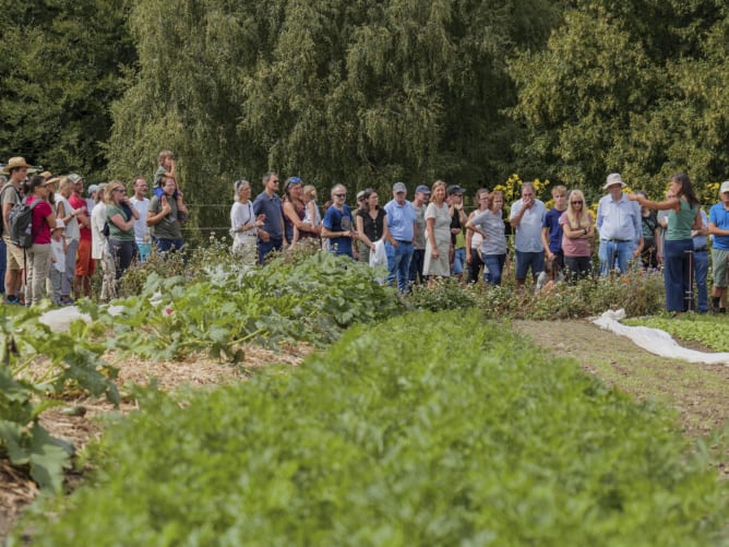 Beim Gartenrundgang geben wir Einblicke in unsere Arbeitsweise.