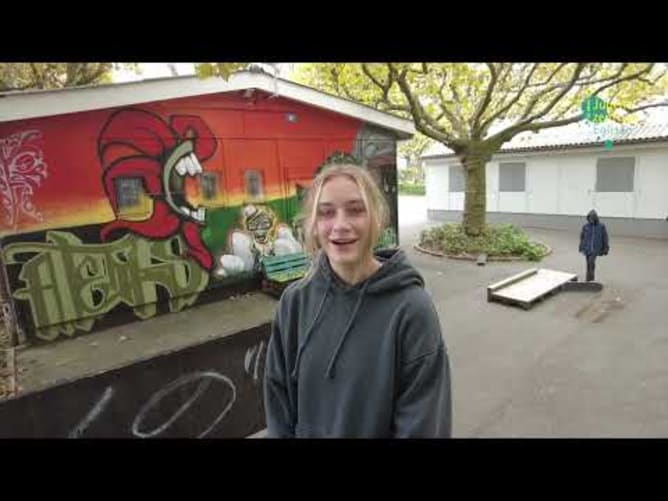 Skatespot Schoren in Basel