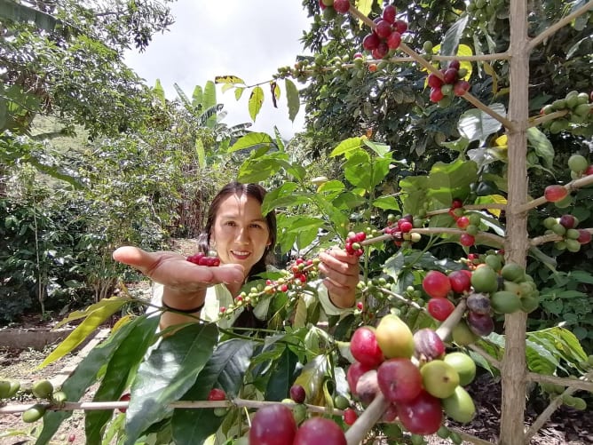 Wilda Velarde, Finca San antonio, Cusco , productrice café Viajero 