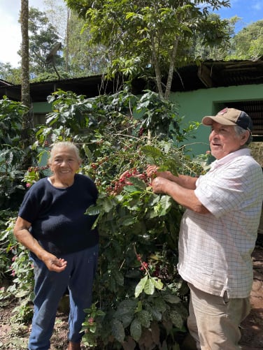 Doñ Julia et Don Dario, producteurs de café Viajero