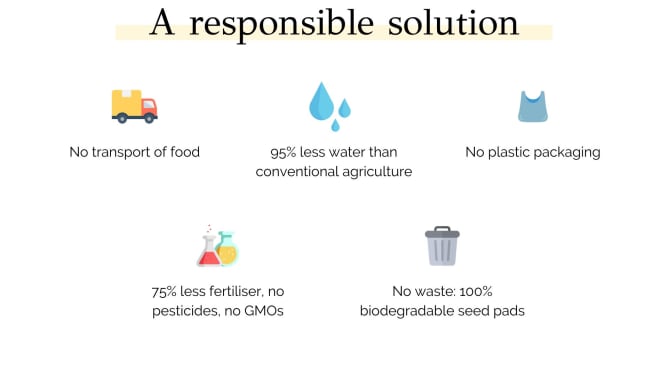 🌍 Cultivez vos aliments de manière responsable