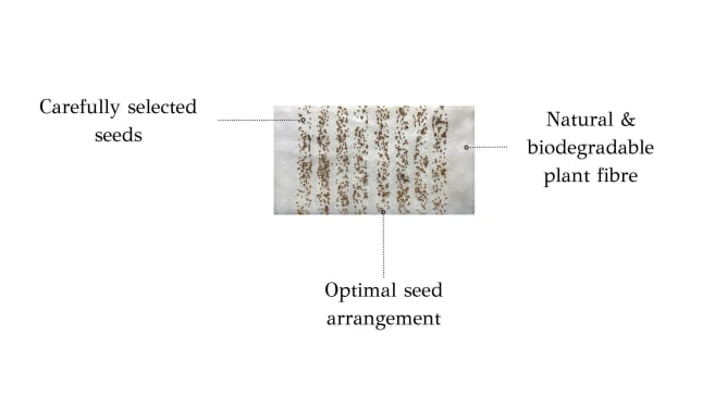 Every vegetable garden can be used with Seed Pads, an innovation that allows you to produce a lot in a few days