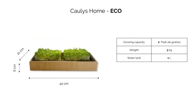 🔎 Caulys Home - ECO in detail