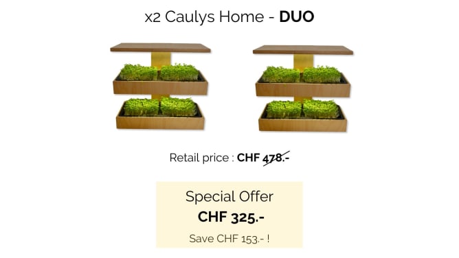 Reward: 👩‍🍳 x2 Caulys Home - DUO