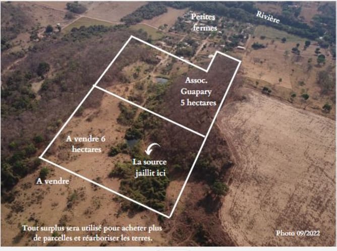 aerial view of the plots, Association Guapary and its neighbors