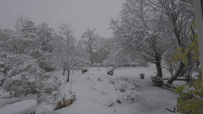 Jardin sous la neige 